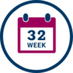icon indicating 32 weeks